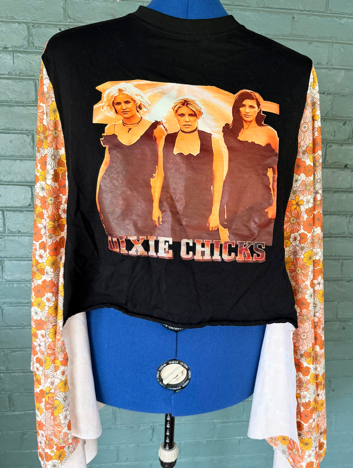 Dixie chicks